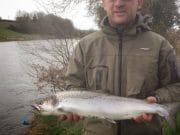 March starts well with Two Springers on the 1st for Blackwater Lodge Lawrence Fitzpatrick - 5.3lb. sea-liced. taken on spinner on the Island Stream on Lower Kilmurry on the lower river.
