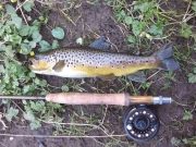Large dark olives on the River Liffey and Rye Water stir up the inhabitants