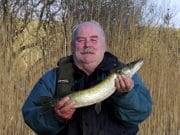 Small pike only last weekend on Glore as lake high and coloured Lough Glore
