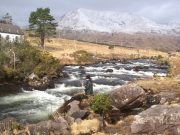 A Delphi round-up from David McEvoy