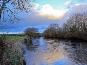 Irish Angling Update, 05/03/15