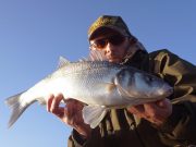 Kerry angler tags bass to mark his return to the coast bass