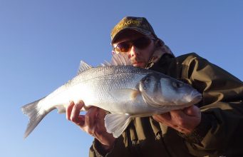 bass