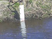 Water levels high as the River Slaney opens March 17th River Slaney - Cam 13.03.2015