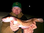 Patrick rocks home with a 1.79lb rockling in Kerry vs Dublin specimen hunt Patrick Fagan