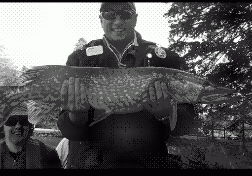 pike