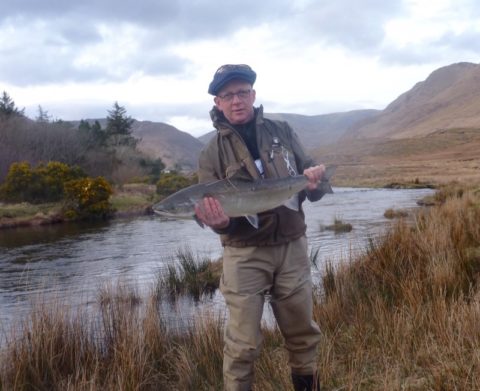 Delphi salmon