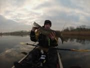 Pike