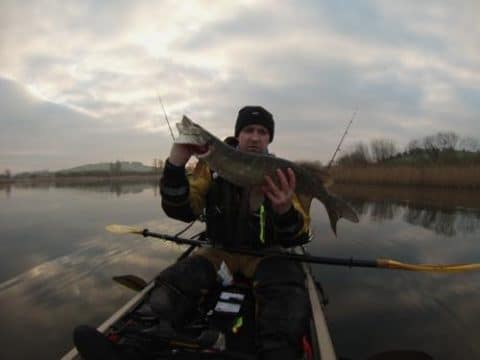 Pike