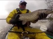 pike
