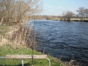 A beautiful conditions on the Laune, none met, but a few seatrout about The Laune