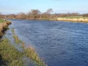 Lovely conditions on the Laune but salmon still scarce River Laune
