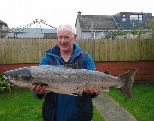 Salmon