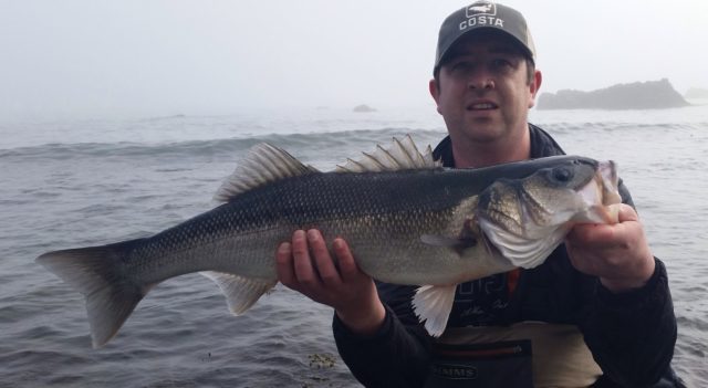 bass