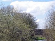 Irish Angling Update, 09/04/15