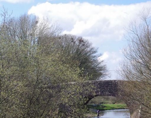Irish Angling Update, 09/04/15