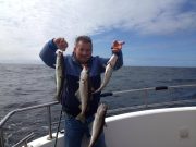 Clare Dragoon back on the water, good fishing out of Carrigaholt Coalfish