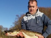 Lovely pike reported from Ross Lake in Galway pike