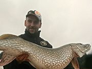 Massive Monaghan pike reported to tip scales at 39lb 12oz pike