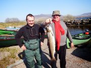 Bass on fly and popper for Cork Harbour anglers
