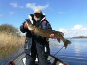 Dutch and Belgian anglers enjoy the pike fishing in Longford Eddy Maas from Belgium