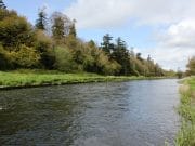 Anglers Delight With Some Quality Salmon on the River Boyne and Blackwater