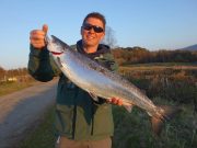 Lovely water on the Drowes but bright, 15 salmon caught for the week D. McKee registered an 11lb salmon caught on Worm from the Mill Pool