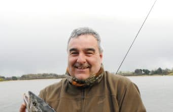 4.3lb brown trout