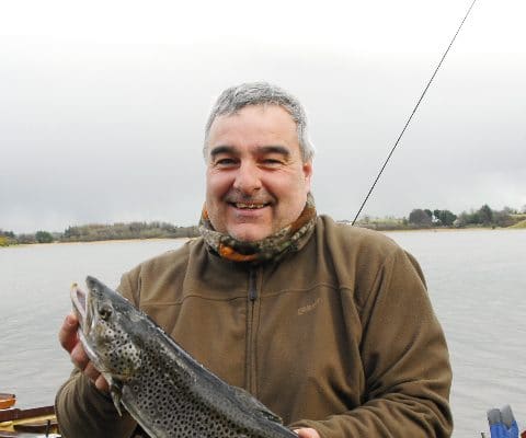 4.3lb brown trout