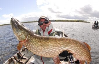 122cm pike