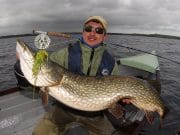Irish Angling Update, 30/04/15 24lb pike