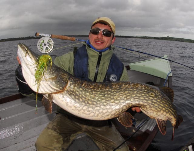 24lb pike
