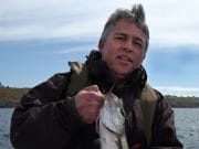 Pollack on the fly, just what the doctor orderd Pollack