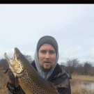 11 lb. trout wows pike angler on Royal Canal who returned the fish and wins Catch of the Week Martin Smyth