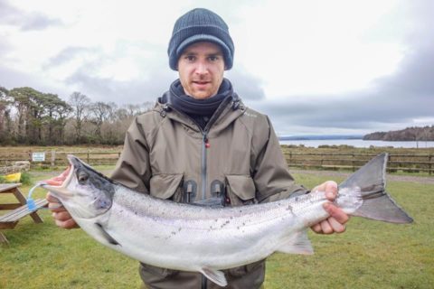 11lb salmon