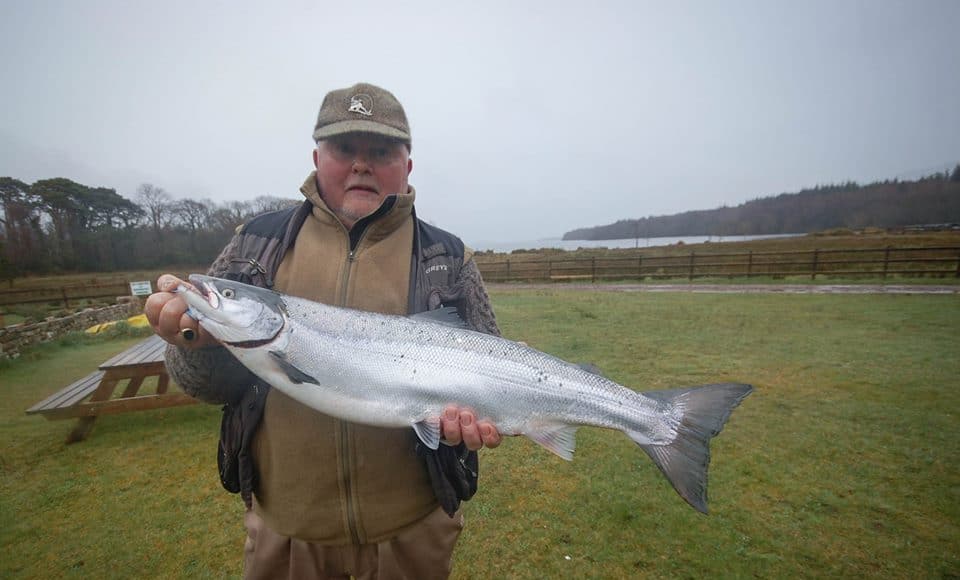 10lb salmon