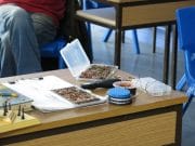 Masterclass in 'match the hatch' and a chance for another course on May 17th
