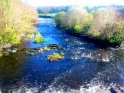 Tough week on the Moy but 245 salmon reported