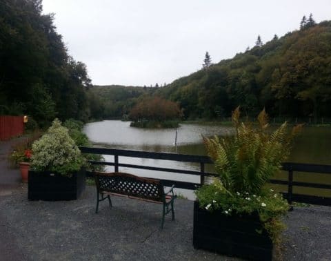 Oaklands Lake New Ross