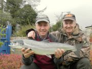 More anglers on the Moy last week, 17 salmon reported Salmon from the Moy