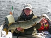 A 98cm Pike is the best of 66 Fish Caught by Fishmaniak Club Members at Derravaragh Event