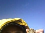 Settled weather sees some good kayak fishing from Donegal coast plaice