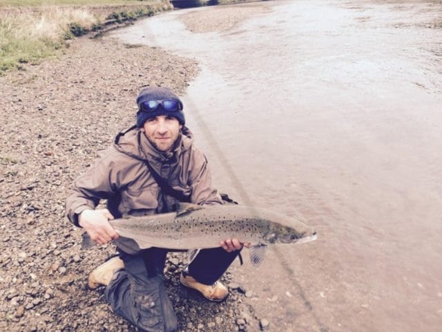 17lb salmon