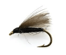 The F fly