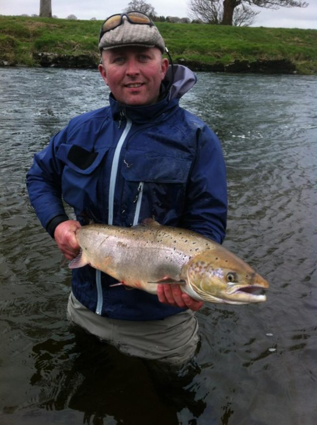 salmon