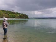 Irish Angling Update – 23/04/15 fly fishing in saltwater