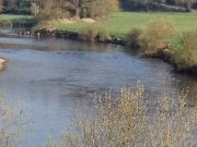 Bright sunshine impacts salmon angling on Munster Blackwater Munster Blackwater