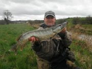 pike