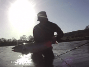 Lovely Suir salmon caught on fly and video by Dutch angler is our Catch of the Week. salmon