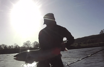 Lovely Suir salmon caught on fly and video by Dutch angler is our Catch of the Week. salmon